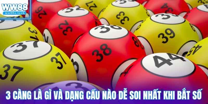 3 càng là gì và dạng cầu nào dễ soi nhất khi bắt số