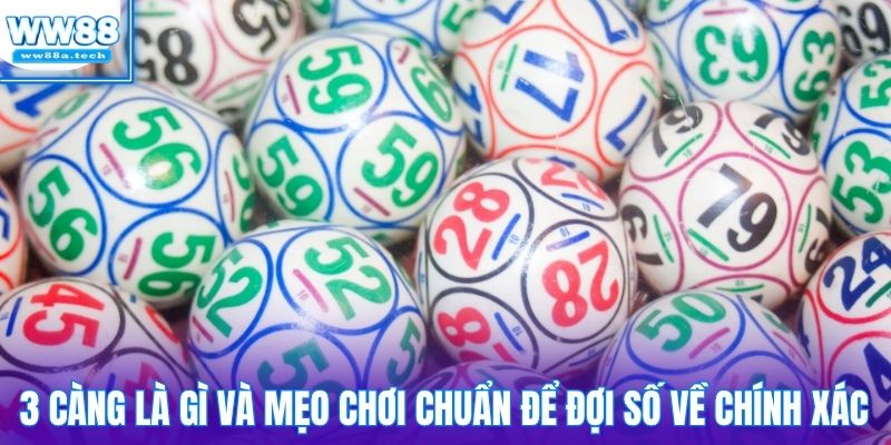 3 càng là gì và mẹo chơi chuẩn để đợi số về chính xác