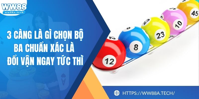 3 Càng Là Gì Chọn Bộ Ba Chuẩn Xác Là Đổi Vận Ngay Tức Thì