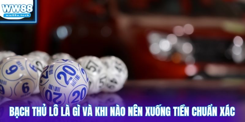 Bạch thủ lô là gì và khi nào nên xuống tiền chuẩn xác