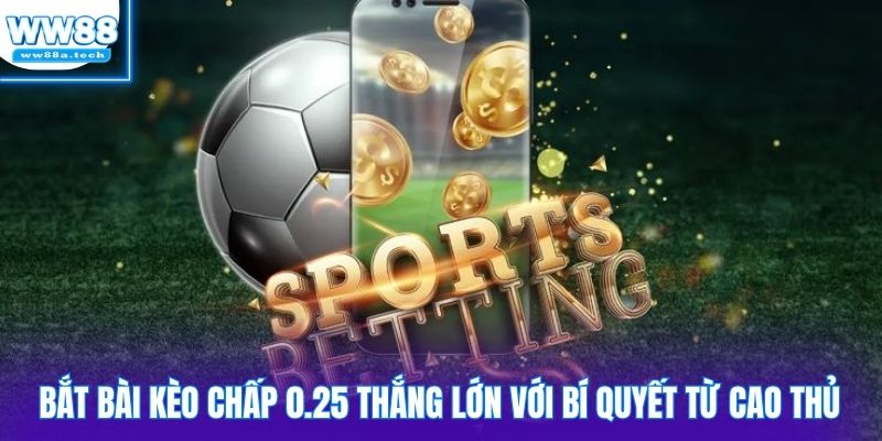 Bắt bài kèo chấp 0.25 thắng lớn với bí quyết từ cao thủ