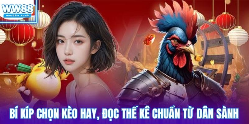 Bí kíp chọn kèo hay, đọc thế kê chuẩn từ dân sành sỏi