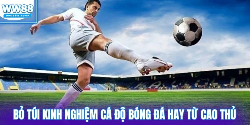 Bỏ túi kinh nghiệm cá độ bóng đá hay từ cao thủ