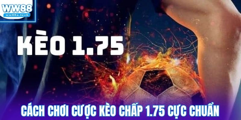 Cách chơi cược kèo chấp 1.75 cực chuẩn