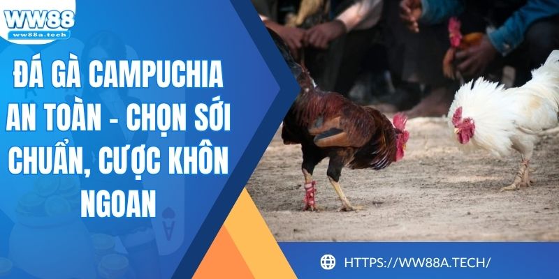 Đá Gà Campuchia An Toàn – Chọn Sới Chuẩn, Cược Khôn Ngoan