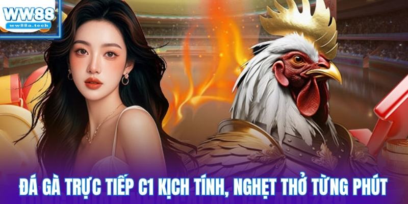 Đá gà trực tiếp C1 kịch tính, nghẹt thở đến từng phút cuối