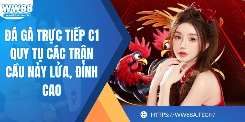 Đá Gà Trực Tiếp C1 Quy Tụ Các Trận Cầu Nảy Lửa, Đỉnh Cao