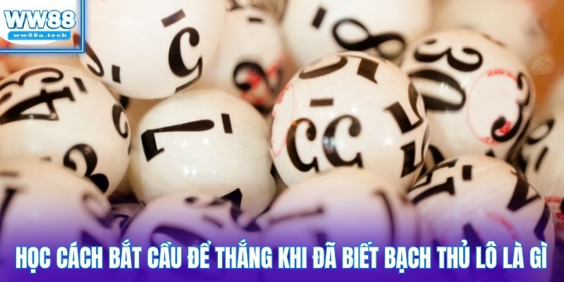 Học cách bắt cầu để thắng khi đã biết bạch thủ lô là gì