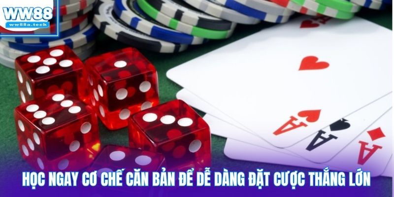 Học ngay cơ chế căn bản để dễ dàng đặt cược thắng lớn