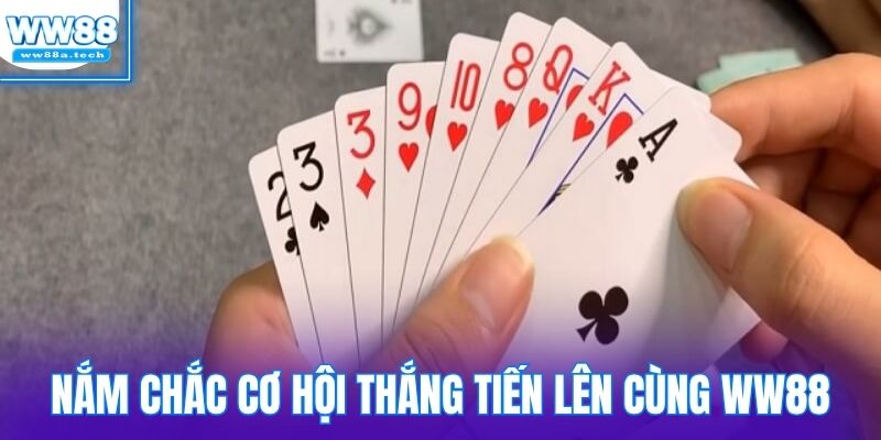 Nắm chắc cơ hội thắng Tiến lên cùng WW88