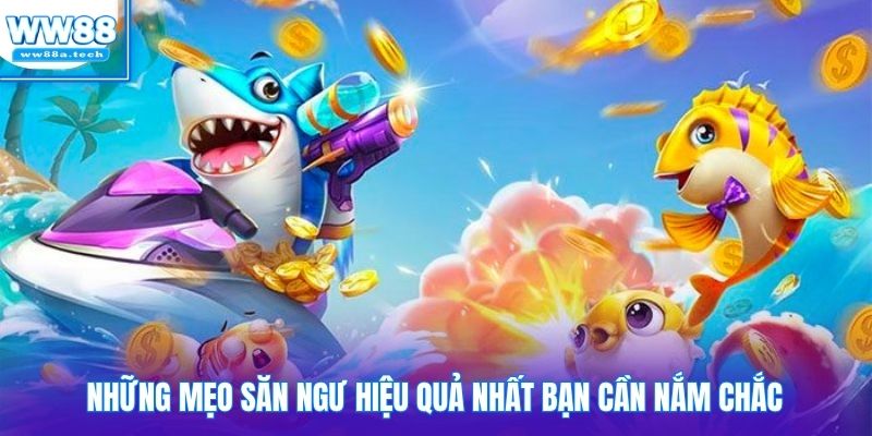 Những mẹo săn ngư hiệu quả nhất bạn cần nắm chắc