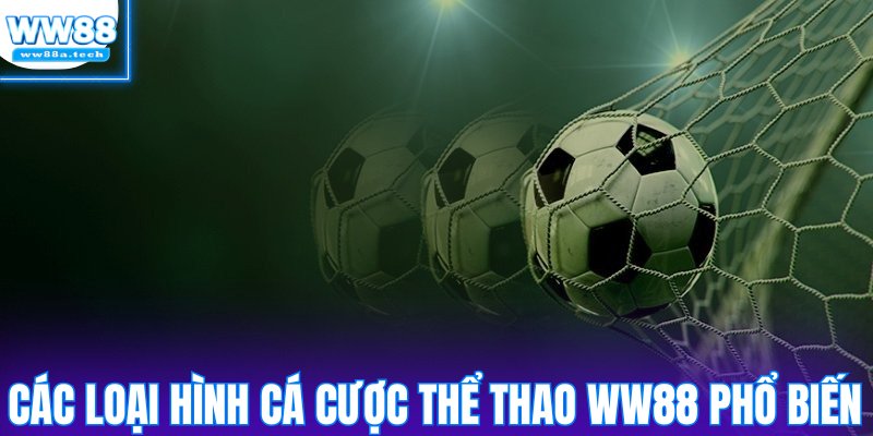 Phân tích các loại hình cá cược thể thao WW88 phổ biến