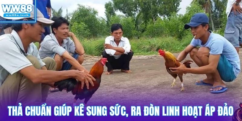 Thả chuẩn giúp kê sung sức, ra đòn linh hoạt áp đảo đối thủ