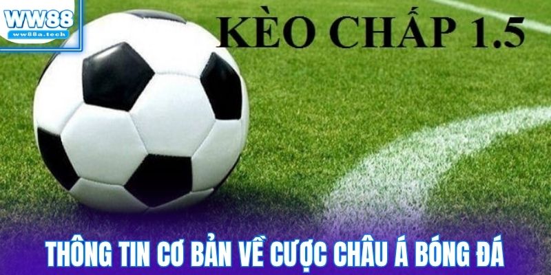 Thông tin cơ bản về cược Châu Á bóng đá
