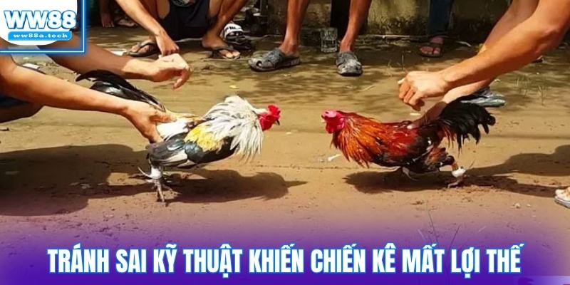 Tránh sai kỹ thuật khiến chiến kê mất lợi thế ngay lập tức